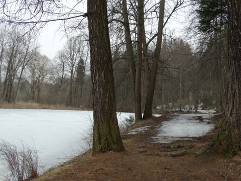 239.jpg