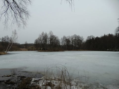 242.jpg