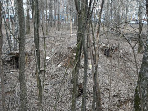 291.jpg
