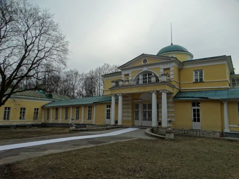 294.jpg