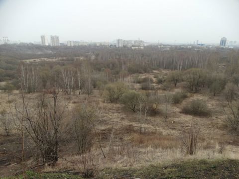 295.jpg