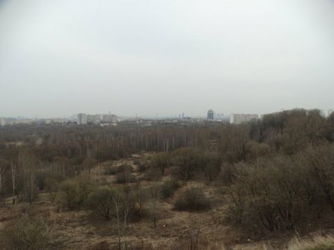 296.jpg