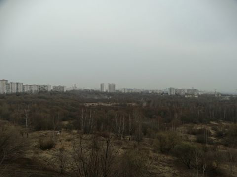 297.jpg