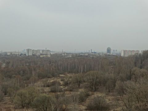 298.jpg