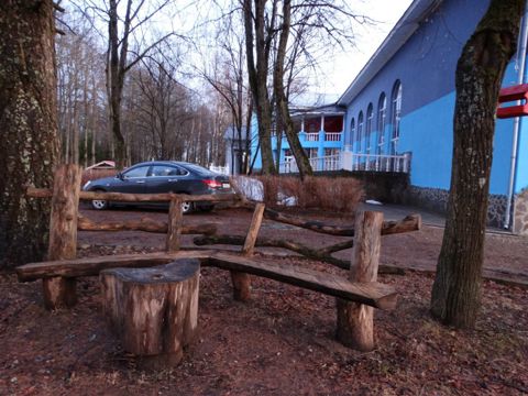 010.jpg