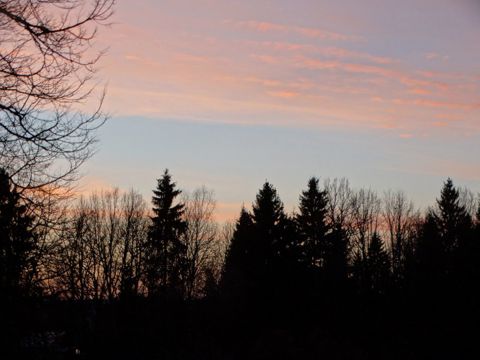 011.jpg
