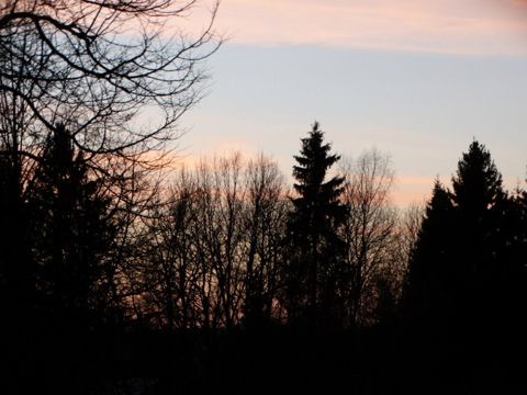 012.jpg