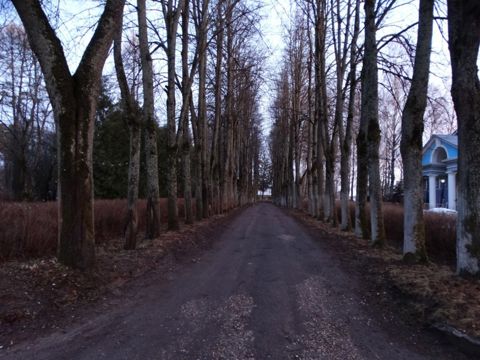 017.jpg