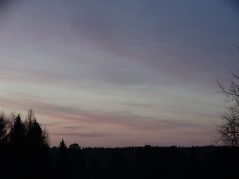 020.jpg