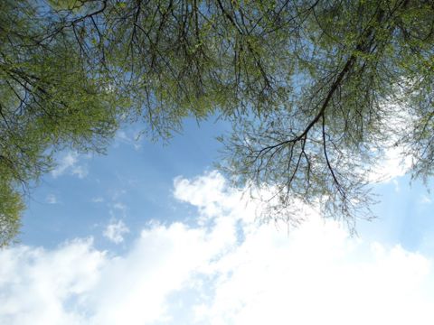 114.jpg