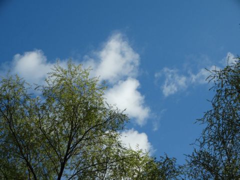 196.jpg