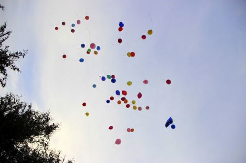 249.jpg