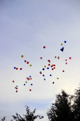 250.jpg