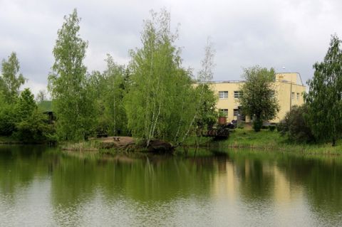 261.jpg