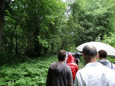 092.jpg