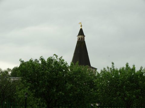 118.jpg