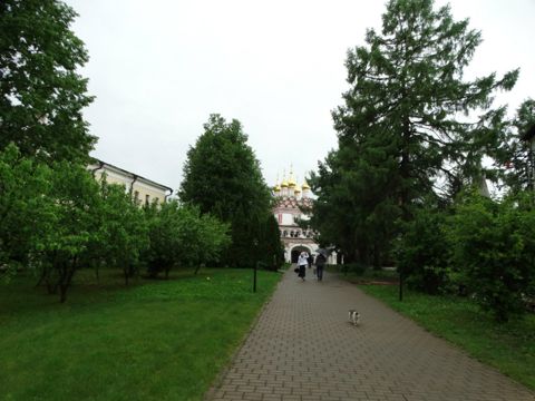 119.jpg