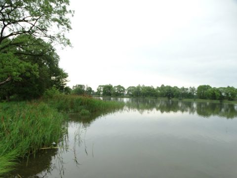 121.jpg