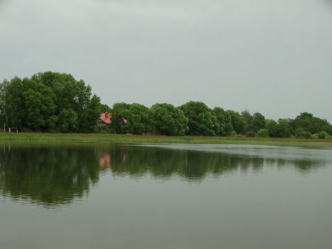 123.jpg