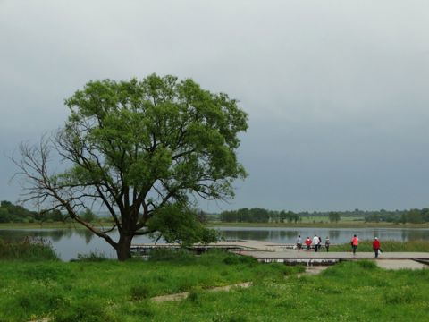 126.jpg