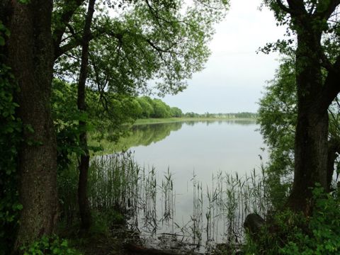 127.jpg